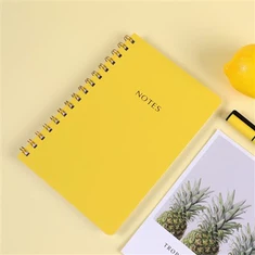 Notebook Spiral Saiz A5